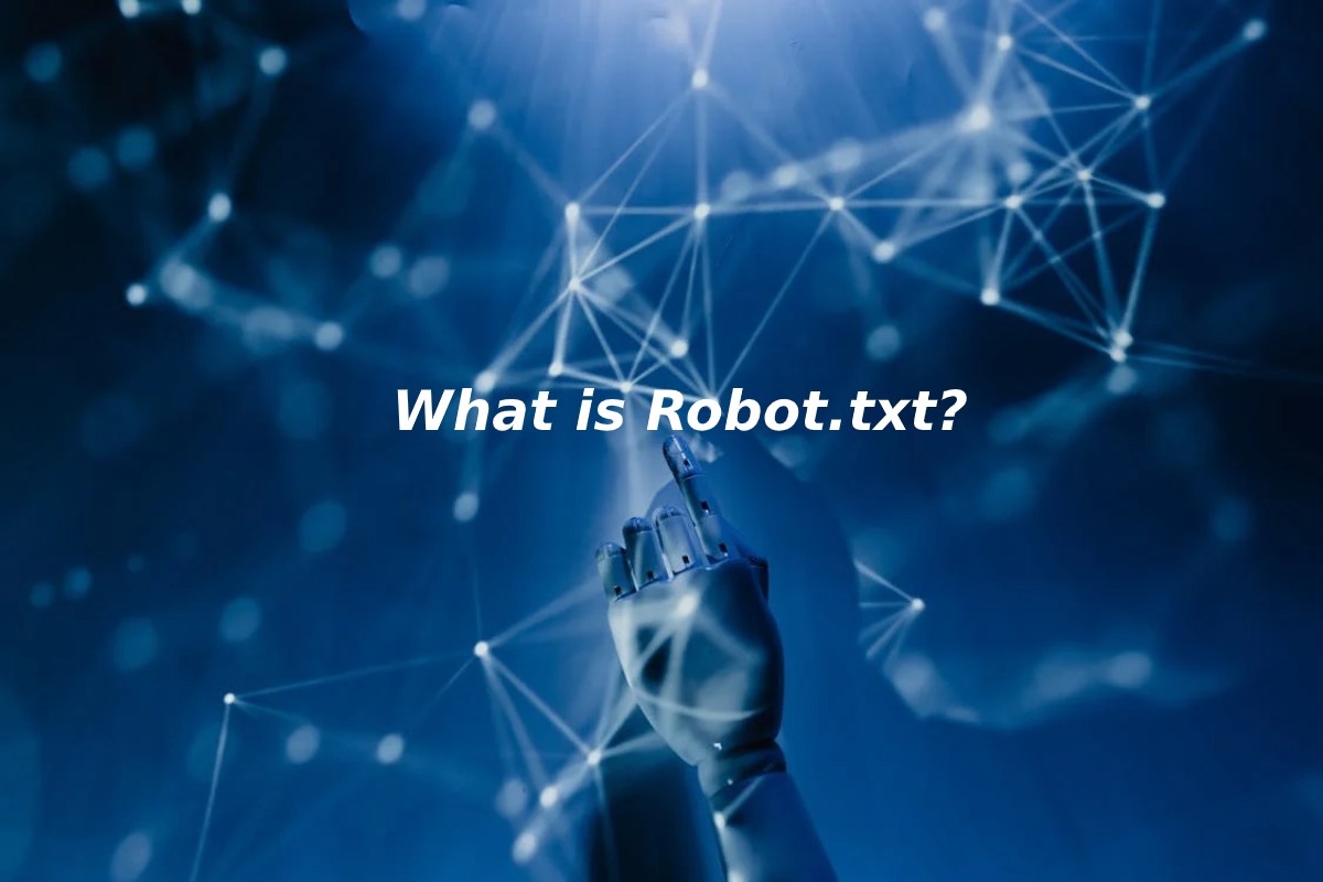 What is Robot.txt?