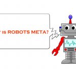 What is Robots meta?