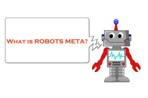 What is Robots meta?