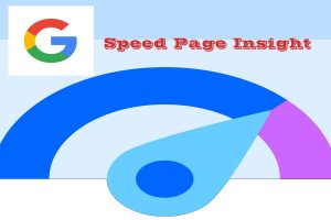 Speed Page Insight