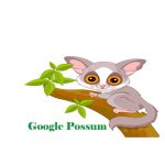 Google Possum