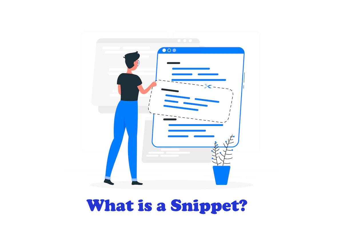What is a Snippet?