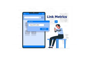 Link Metrics