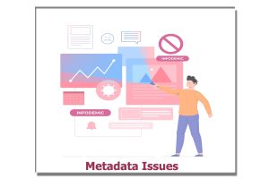 Metadata Issues