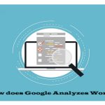 Google Analyzes Word