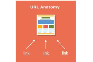 URL Anatomy